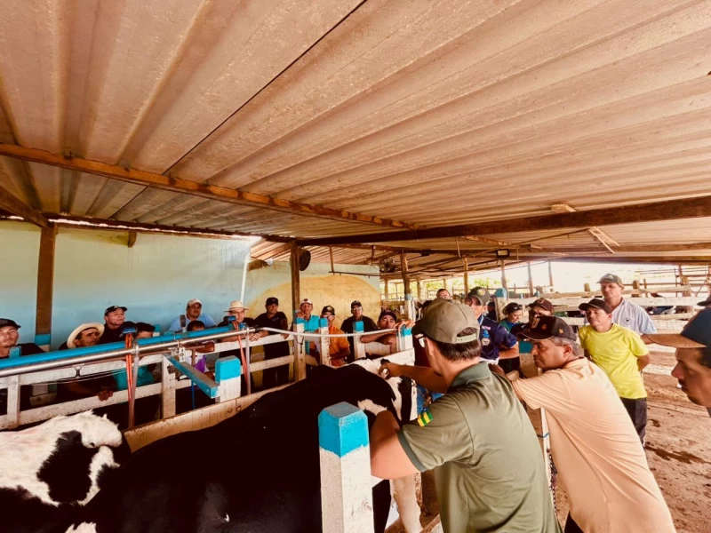 Imagem do WhatsApp de 2025-10-07 à(s) 13.54.56_b7965e56.jpg