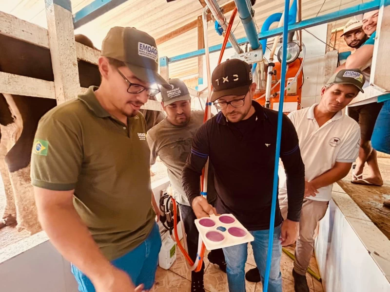 Imagem do WhatsApp de 2025-10-07 à(s) 14.02.34_f5c76c27.jpg